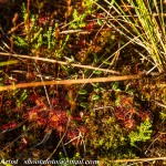 untitled-6