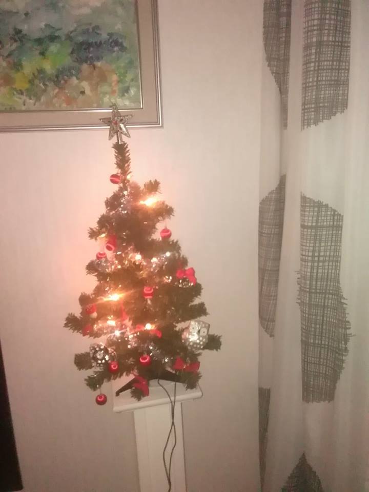 Skloddifedu, foto: J.K.