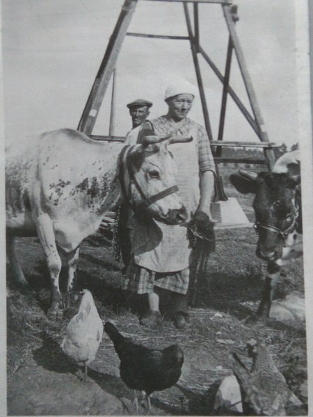 Kanoja Kumpulassa