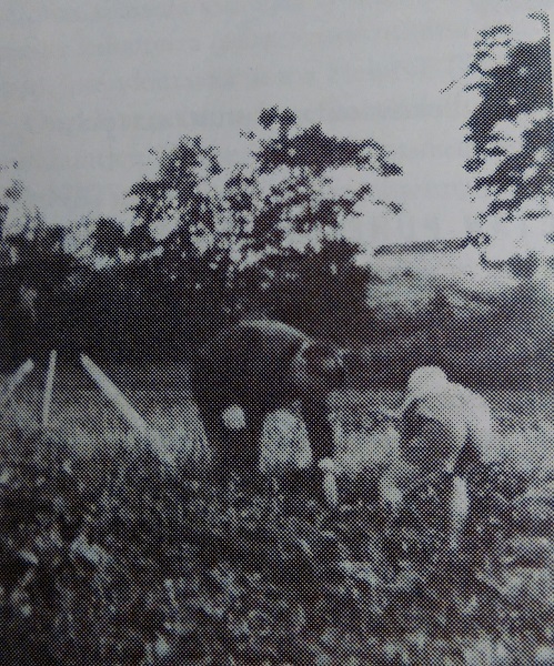 Kumpula 2