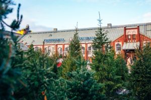 Hakaniemen kauppahalli Kuva: Helsingin kaupunki / uutiset